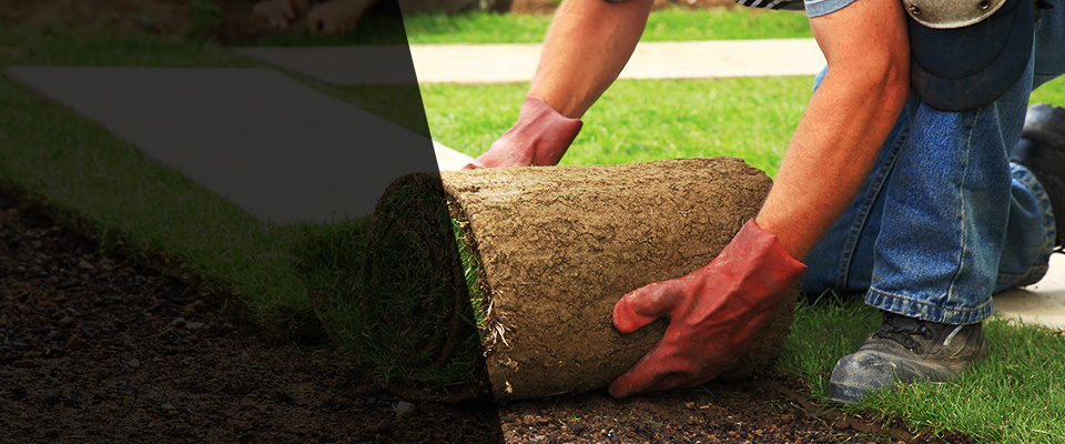 South Beloit Landscapers
